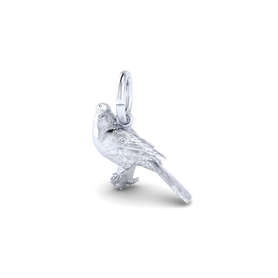 PicturesOnGold product photograph