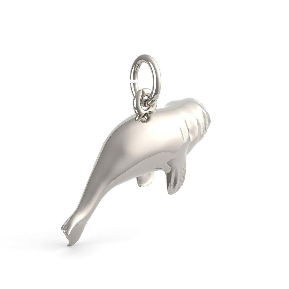 PicturesOnGold product photograph