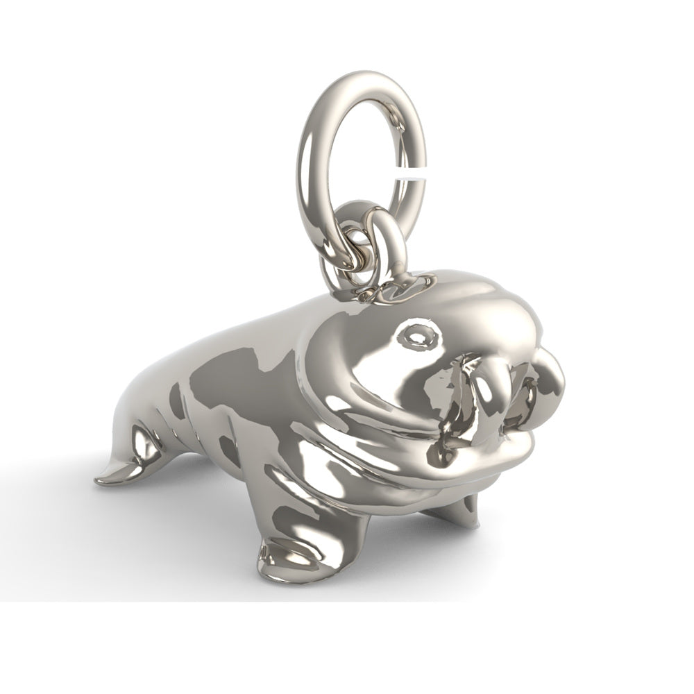 PicturesOnGold product photograph