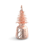PicturesOnGold product photograph