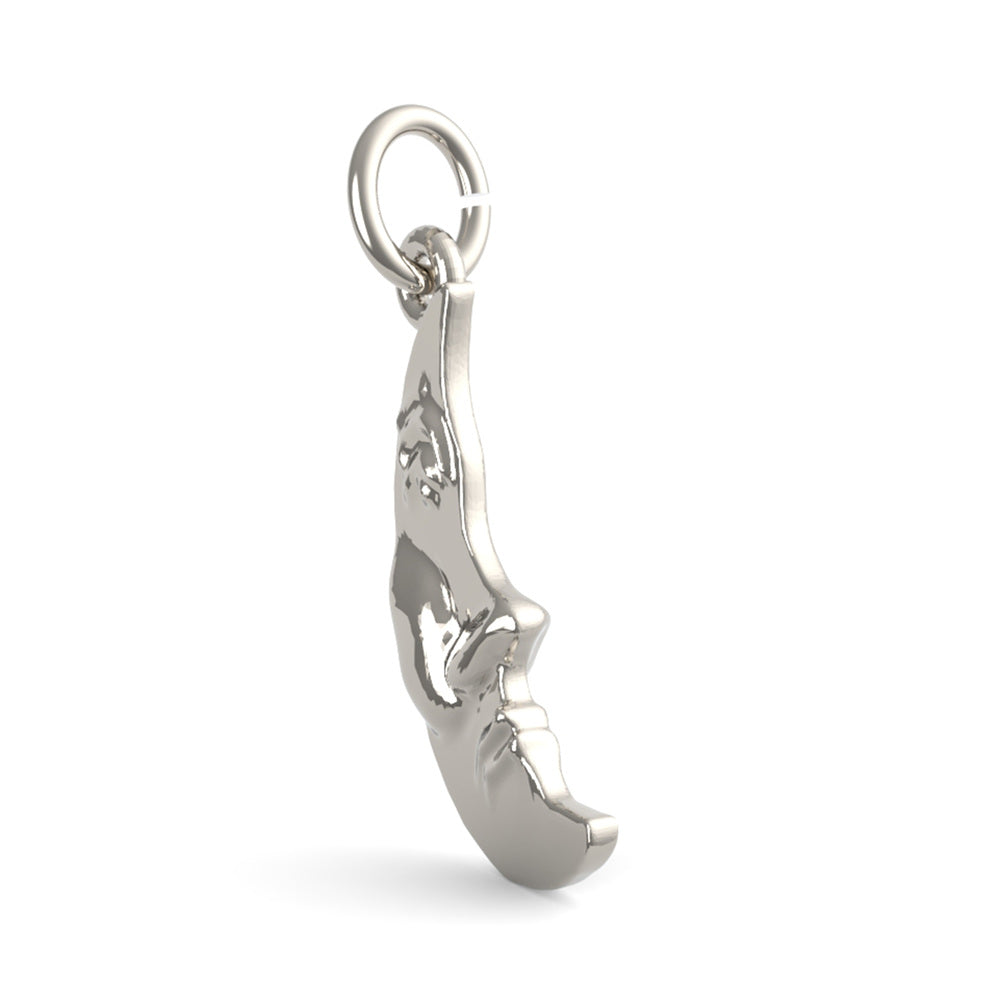 PicturesOnGold product photograph