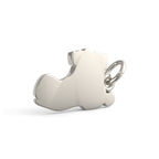 PicturesOnGold product photograph