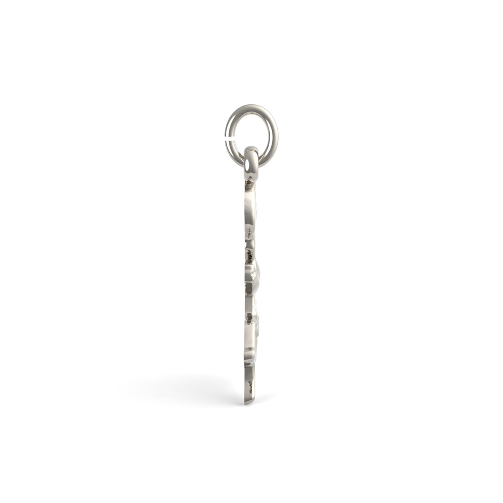 PicturesOnGold product photograph