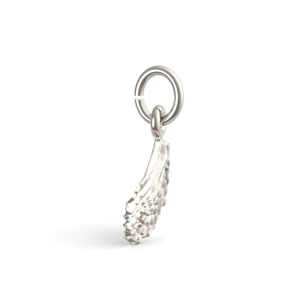 PicturesOnGold product photograph