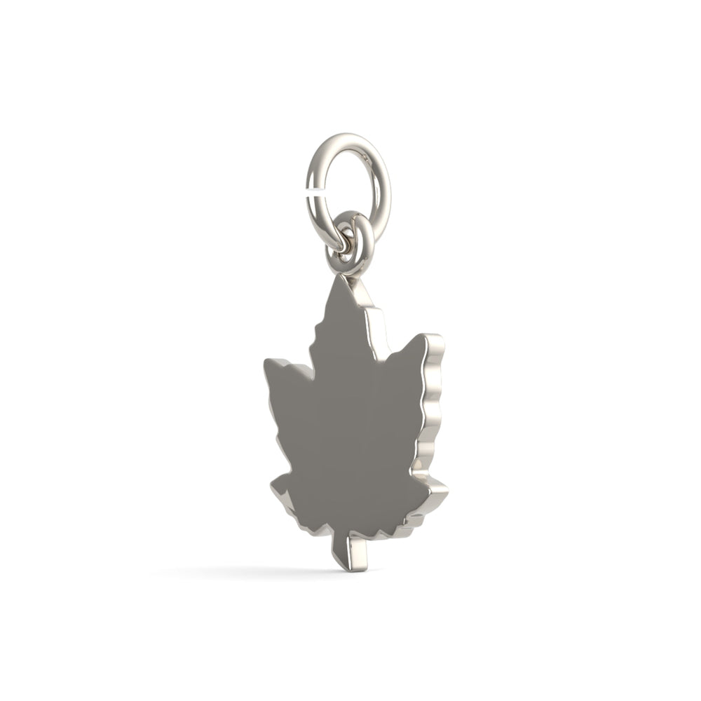 PicturesOnGold product photograph