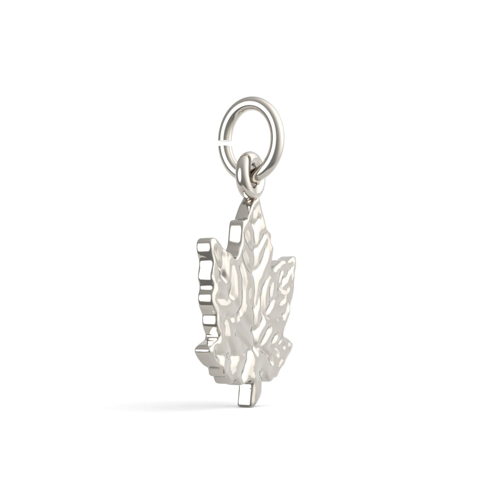 PicturesOnGold product photograph