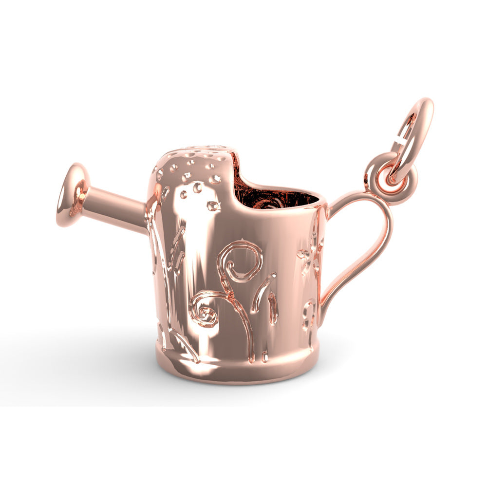 PicturesOnGold product photograph