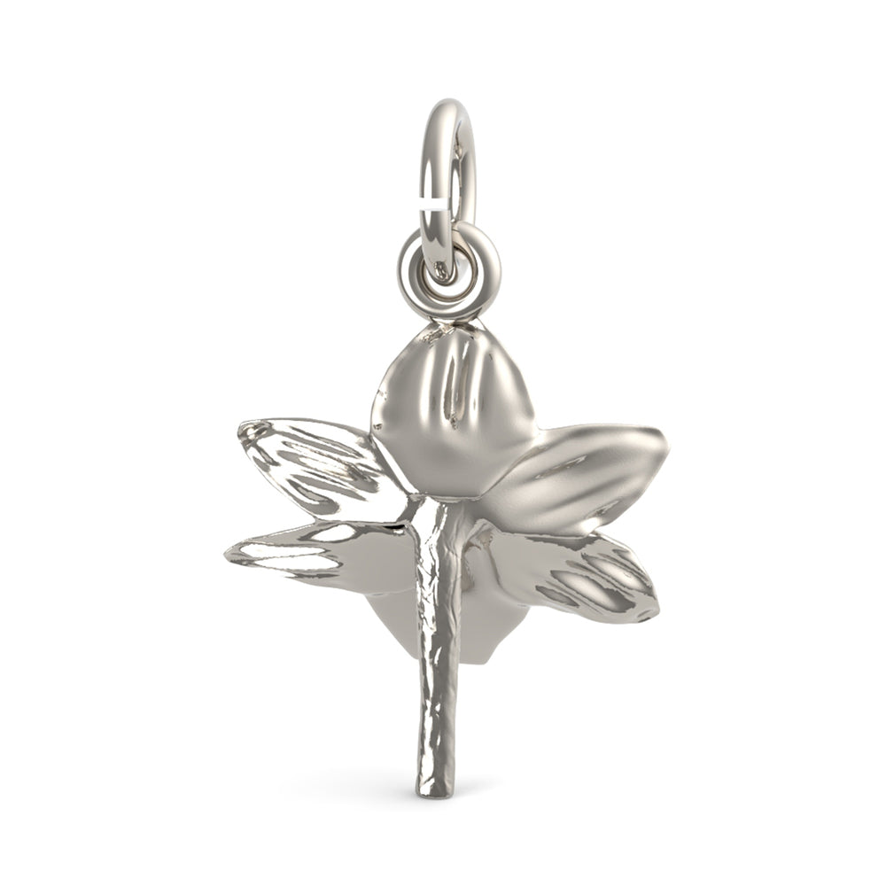 PicturesOnGold product photograph