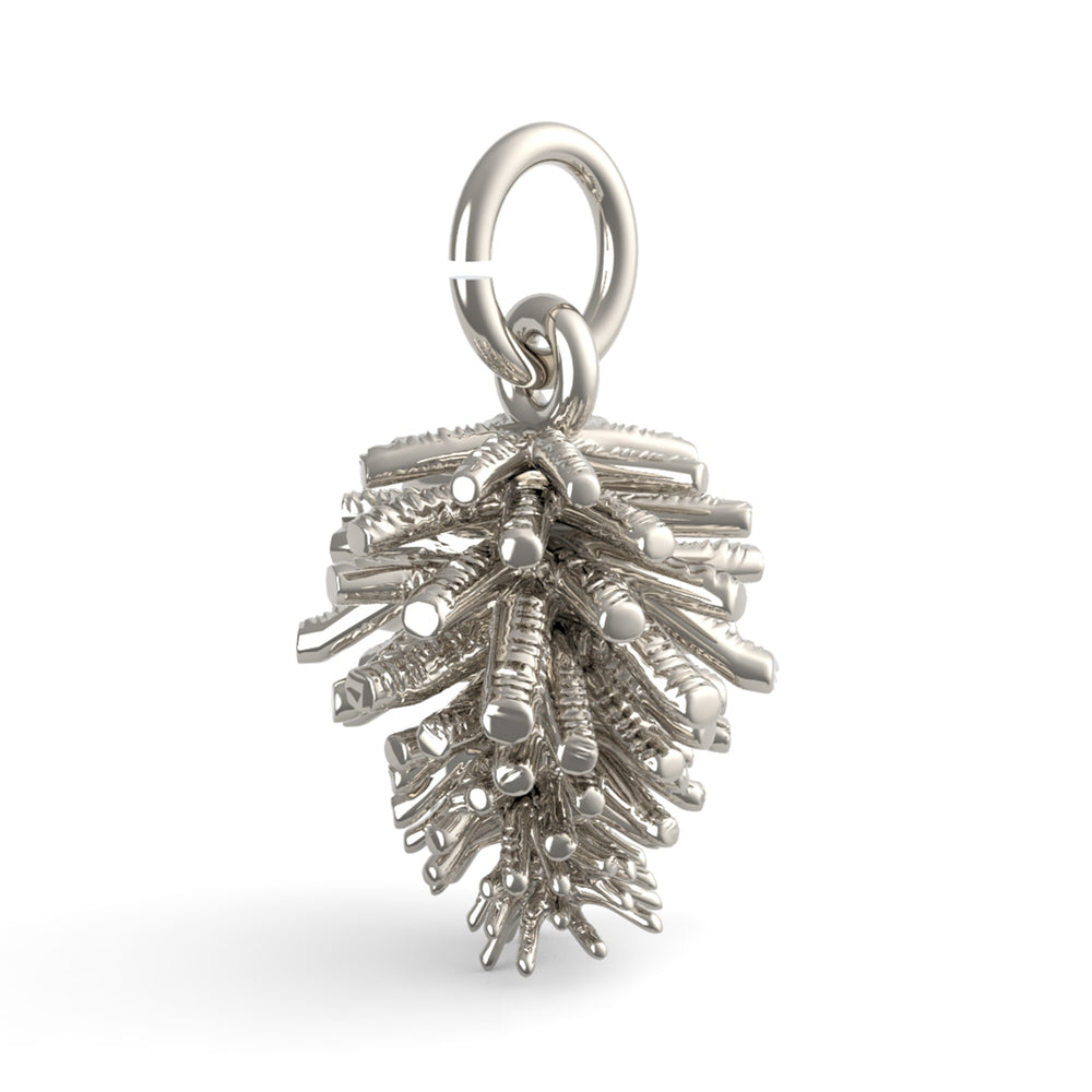 PicturesOnGold product photograph
