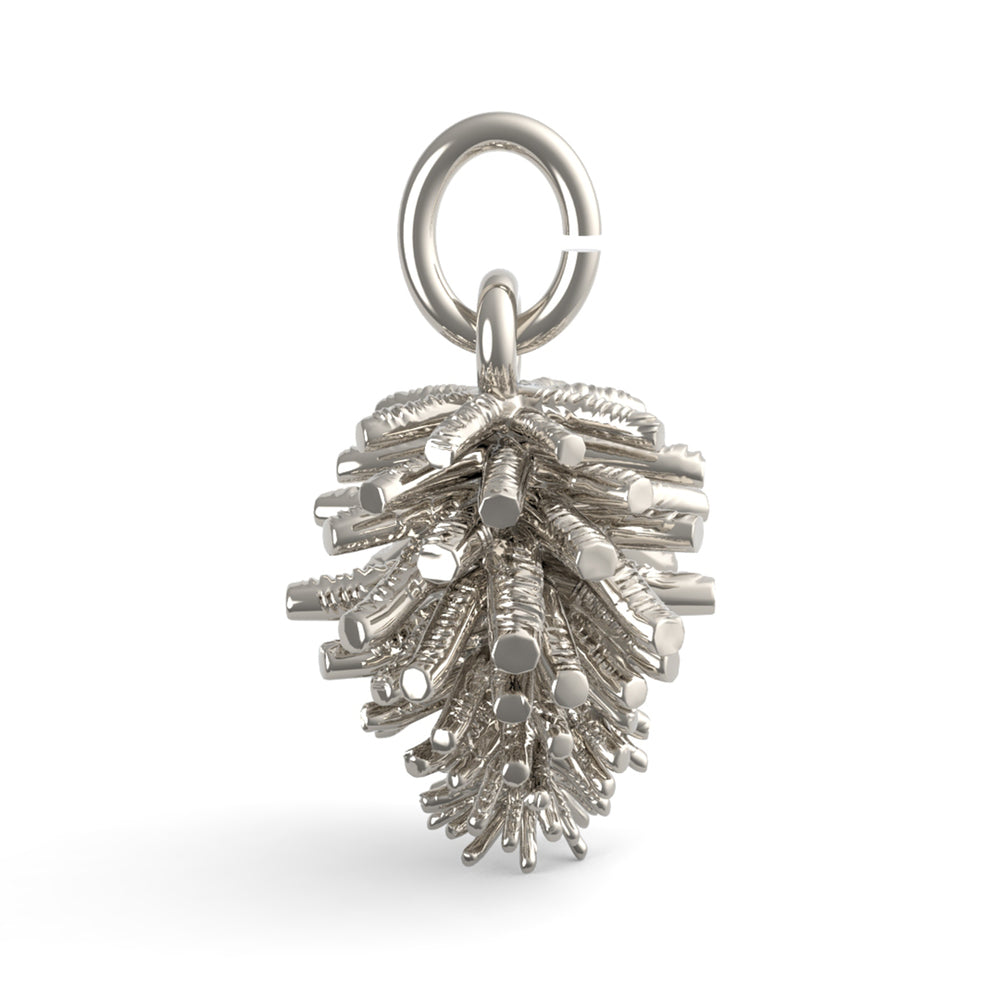 PicturesOnGold product photograph