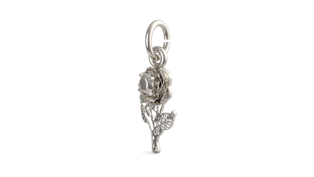 PicturesOnGold product photograph