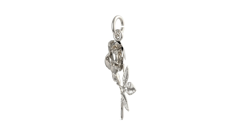 PicturesOnGold product photograph
