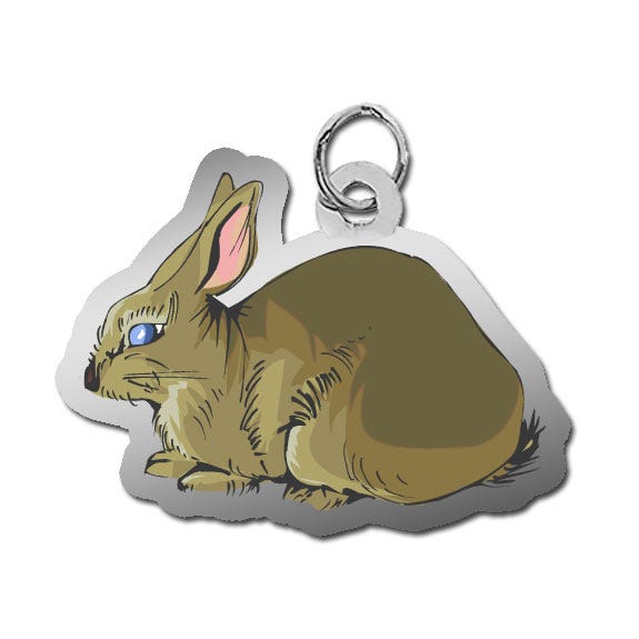 Rabbit Charm