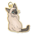 Cat - Siamese Charm