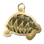 Tortoise Charm