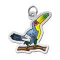 Toucan Charm