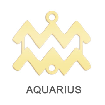 Aquarius - (January 20 - February 18)