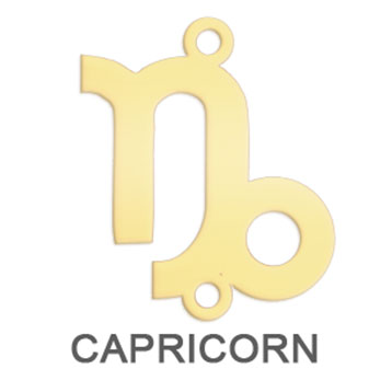 Capricorn - (December 22 - January 19)