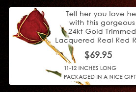 red roses